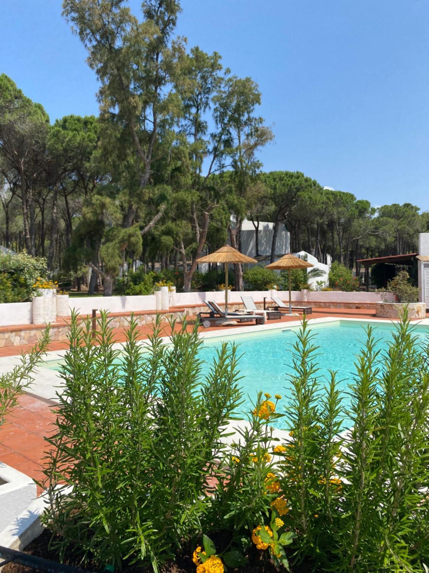 Hotel Mare Pineta Santa Margherita di Pula Ngoại thất bức ảnh